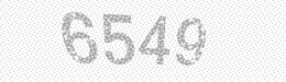Visual security code — type the characters shown in the image